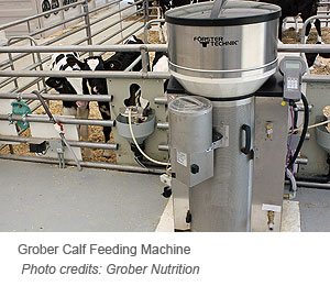 Grober Calf Feeding Machine