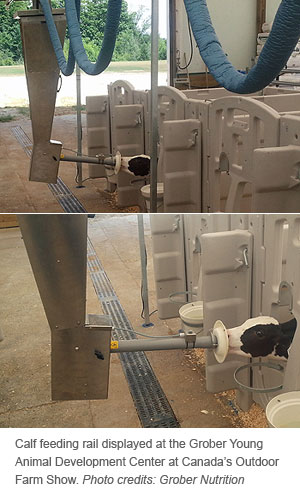 calf feeding rail