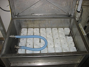 bottles in the pasteurizer